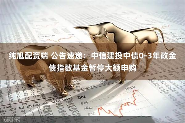 纯旭配资端 公告速递：中信建投中债0-3年政金债指数基金暂停大额申购